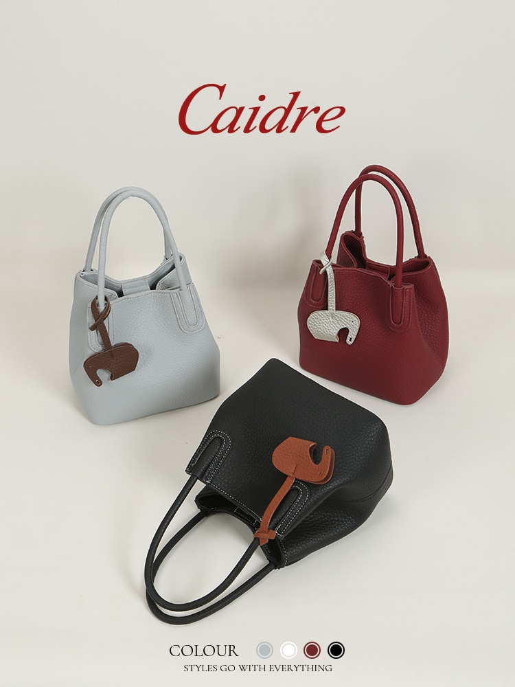 Caidre Luxury Tote Bag 2026 Ne - đánh giá và giá Luxury Bags Korea